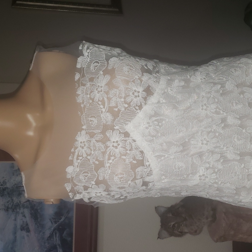 Delicately feminine lace & mesh fitted mini dress semi sheer - Picture 5 of 8